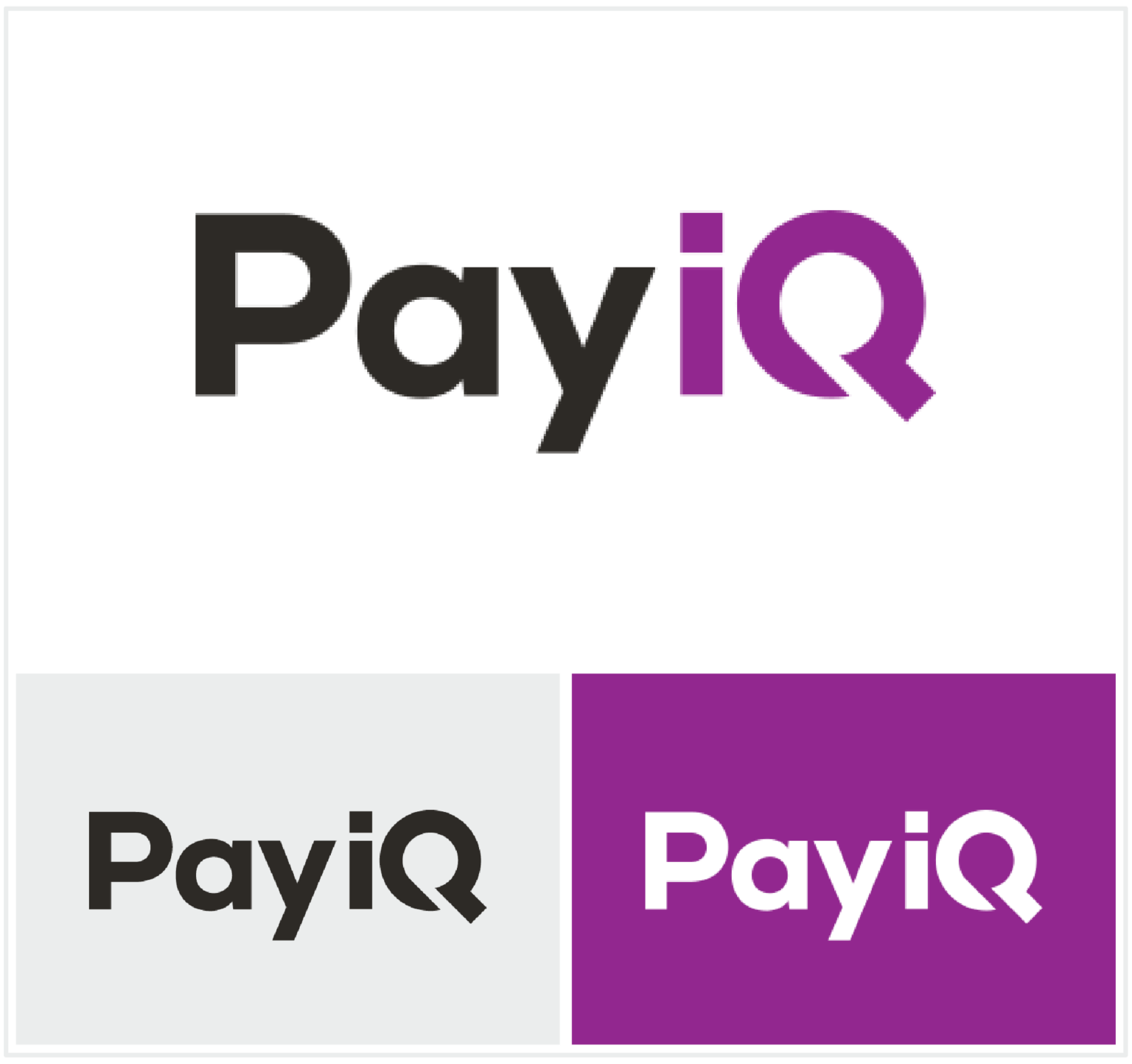 PayIQ PayiQ Logo Set 2024